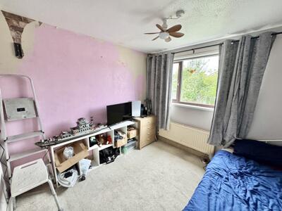 Picture 12